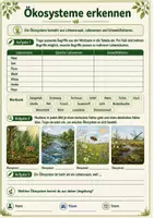 Vorschau - Arbeitsblätter - Ökosysteme & Lebensräume entdecken: Meer, See, Fluss, Wald, Wiese, Hecke und Moor - Seite 3