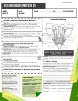 Vista previa - Hojas de trabajo - Plant Biology Activities KS4 | Photosynthesis & Botany Project - página 2