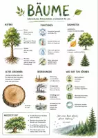Vorschau - Arbeitsblätter - Lernposter + Arbeitsblätter zum Thema "Baum" + Lösung & MP3 + Mindmap + Infografiken - Deckblatt