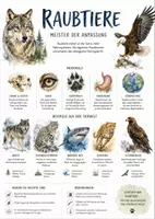 Vorschau - Arbeitsblätter - Lernposter + Arbeitsblatt "Raubtiere" + Onlineübung & MP3 + Infografik - Deckblatt