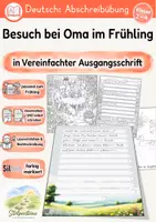 Vorschau - Unterrichtsreihen - Frühling - Abschreibübung "Besuch bei Oma" in der Vereinfachten Ausgangsschrift - Seite 1