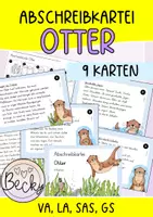 Vorschau - Aufgabenkarten - Abschreibkartei Otter (9 Karten je in VA, LA, SAS und GS) - Deckblatt