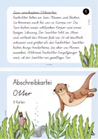 Vorschau - Aufgabenkarten - Abschreibkartei Otter (9 Karten je in VA, LA, SAS und GS) - Seite 2