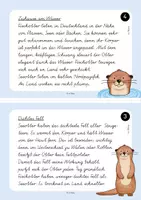 Vorschau - Aufgabenkarten - Abschreibkartei Otter (9 Karten je in VA, LA, SAS und GS) - Seite 3