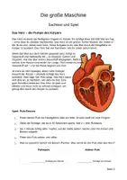 Vorschau - Unterrichtsreihen - Alles über Körper und Bewegung (Klasse 5-6) - Seite 2