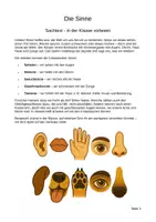 Vorschau - Unterrichtsreihen - Alles über die Sinne (Klasse 5-6) - Seite 1