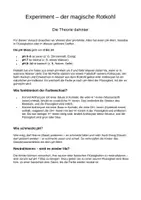 Vorschau - Unterrichtsreihen - Alles über Experimente (Klasse 5-6) - Seite 3