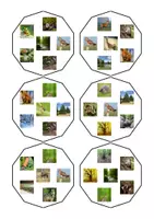 Aperçu - Jeux - Dobble vocabulaire de la forêt - Page de couverture