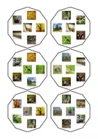 Aperçu - Jeux - Dobble vocabulaire de la forêt - Page 2