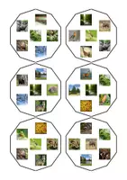Aperçu - Jeux - Dobble vocabulaire de la forêt - Page 3