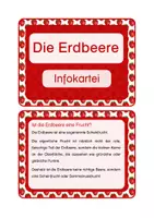 Vorschau - Bildkarten - Die Erdbeere - Infokartei - Seite 2