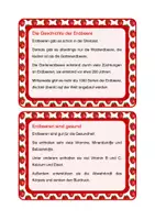 Vorschau - Bildkarten - Die Erdbeere - Infokartei - Seite 3