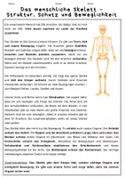 Vorschau - Arbeitsblätter - Aufgaben des menschlichen Skeletts - Seite 1