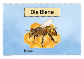 Vorschau - Arbeitsblätter - Die Honigbiene - Arbeitsblätter & Miniheft (GS1) - Seite 1