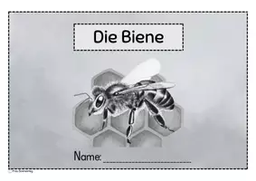 Vorschau - Arbeitsblätter - Die Honigbiene - Arbeitsblätter & Miniheft (GS1) - Seite 2