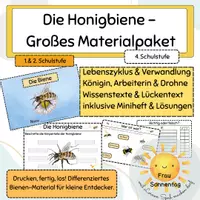 Vorschau - Arbeitsblätter - Die Honigbiene - Arbeitsblätter & Miniheft (GS1) - Deckblatt
