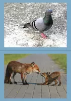 Vorschau - Arbeitsblätter - Tiere in der Großstadt - Seite 1