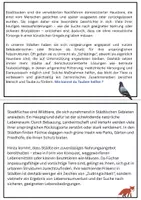 Vorschau - Arbeitsblätter - Tiere in der Großstadt - Seite 2