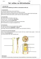 Vorschau - Arbeitsblätter - Aufbau von Röhrenknochen - Deckblatt