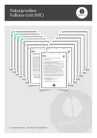 Vorschau - Arbeitsblätter - Naturgewalten - Vulkane (mit Differenzierung) - Deckblatt
