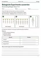Vorschau - Arbeitsblätter - Experimente auswerten Basisscreening Klasse 9–10 - Deckblatt