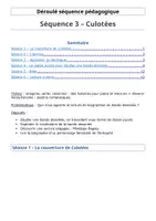 Aperçu - Préparation de séquence / Séquence complète - Séquence 3 - Culottées - Page de couverture