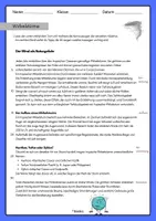 Vorschau - Arbeitsblätter - Naturgewalten - Wirbelstürme (mit Differenzierung) - Seite 2