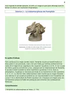 Aperçu - Préparation de séquence / Séquence complète - La carte du monde des sorcières - Page 2
