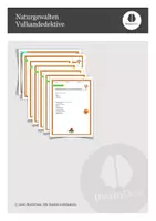 Vorschau - Arbeitsblätter - Naturgewalten - Vulkandedektive - Deckblatt