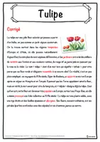 Aperçu - Inclusion - Tulipe – Fiche : texte à trous, compréhension orale et mots mêlés - Page 2