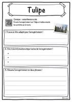 Aperçu - Inclusion - Tulipe – Fiche : texte à trous, compréhension orale et mots mêlés - Page 3