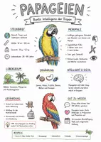 Vorschau - Arbeitsblätter - Lernplakat + Arbeitsblätter zum Thema "Papageien" + Lösung & MP3 + Mindmap + Infografik - Deckblatt