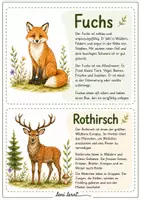 Vorschau - Merkblätter - Waldtiere – 50 Sachtexte zu Waldtieren | Lernkartei - Seite 1