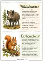 Vorschau - Merkblätter - Waldtiere – 50 Sachtexte zu Waldtieren | Lernkartei - Seite 2