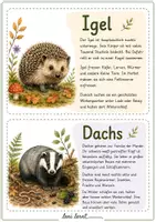 Vorschau - Merkblätter - Waldtiere – 50 Sachtexte zu Waldtieren | Lernkartei - Seite 3