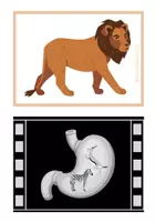 Vista previa - Tarjetas / Manipulativos - Qué comen los animales - página 3