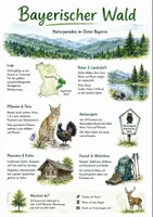 Vorschau - Arbeitsblätter - Lernposter + AB mit Fragen zum Thema "Bayerischer Wald" + Lösungsblatt + Infografik - Deckblatt