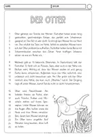 Vorschau - Arbeitsblätter - Lesetext mit Fragen zum Text (Sachtext Otter) - Seite 1