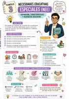 Vista previa - Para docentes: organización, planificación y formación - GUÍA PARA DOCENTES NEAE - página 2