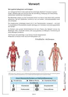 Vorschau - Unterrichtsreihen - Biologie Humanbiologie | Klasse 5-10 Sekundarstufe | Genetik, Immunbiologie Neurobiologie | Skelett, Organe, Blutkreislauf, Sexualkunde, Vererbung, Ernährung | differenzierte Arbeitsblätter mit Lösungen - Seite 3