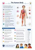 anteprima - Esperimenti - CLIL Science Year 5: The Human Body - CLIL Scienze classe 5: il corpo umano - Pagina 3