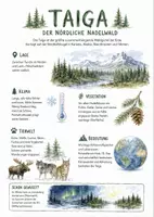 Vorschau - Arbeitsblätter - Lernposter + AB mit Fragen zum Thema "Taiga" + Lösungsblatt + Infografik - Seite 1