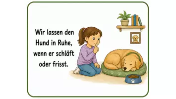 Vorschau - Bildkarten - Regelkarten zum Schulhund mit Wort und Bild - Seite 1