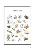 Voorbeeld - Draaiboek Thema Herfst voor de kleuters - Pagina 3