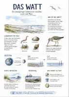 Vorschau - Arbeitsblätter - Lernposter + Arbeitsblätter zum Thema "Watt (Natur)" + Lösung & MP3 + Mindmap + Infografik - Deckblatt