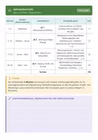 Vorschau - Lehrpläne/Lehrermaterial - Stoffverteilungsplan NT 8 Mittelschule - Seite 2