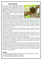 Vorschau - Arbeitsblätter - Tierbeschreibung- Das Faultier - Deckblatt