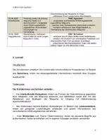 Vorschau - Stundenentwürfe - Mapuche_UB_Spanisch_Referendariat - Seite 3