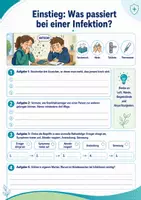 Vorschau - Arbeitsblätter - Das Immunsystem des Menschen – Erreger, Abwehrreaktionen und Immunisierung - Seite 3