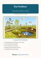 Vorschau - Arbeitsblätter - Das Hochmoor – Lesespurgeschichte mit Rätselaufgaben (Klasse 8) - Seite 1